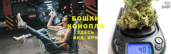мдпв Волосово