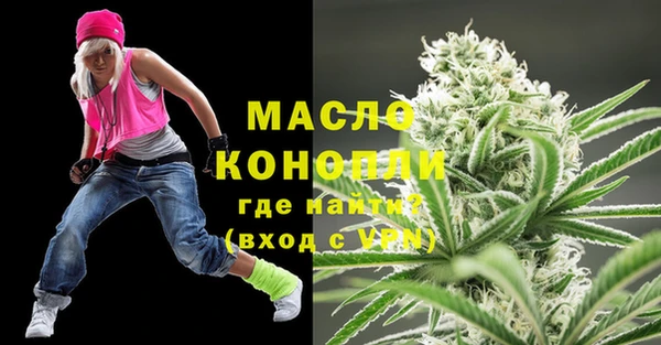 индика Вязьма
