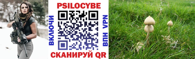 Псилоцибиновые грибы Cubensis  это наркотические препараты  Жердевка  сколько стоит 